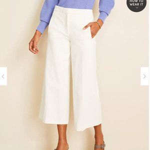 Ann Taylor Marina Pant - White